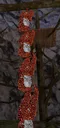 Monke_Tower Monke_Tower