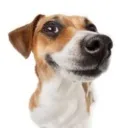 k__