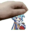 sig_pet