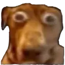 MONKA