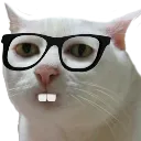 bublya_einstein