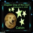 2f05940e68f2f023d1d275b6370ff961