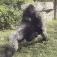 MonkeFight