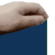 tunapat