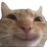 happycat