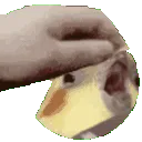 birb_pet