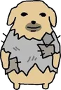 doghomless