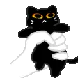 mortoshake