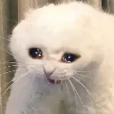 emotionalDMG