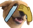 dogIcant dogIcant