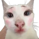demure