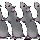 rat_tonga