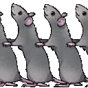 rat_tonga