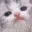 cat_lick