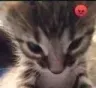 angery