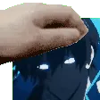 ninjapet