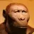 monke