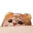 yb_peeky