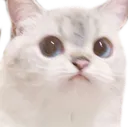 yb_weird