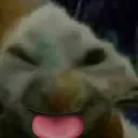 xdf