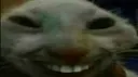 xdd