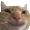 catSmile