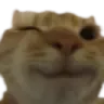 catwink