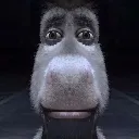 Donkey