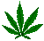 010_greenweed