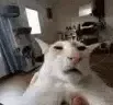 guhguhguh