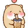 1hamboba