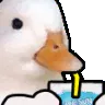 9GH_ducksip
