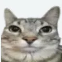 __