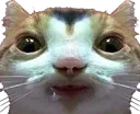 guh guh