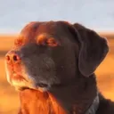 acceptance