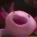 squeeeee