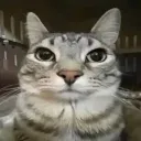 bruh