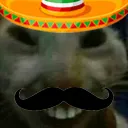 mexdd mexdd