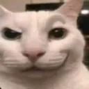 smugCat
