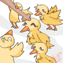 pattheducks