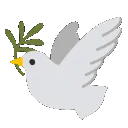 dove