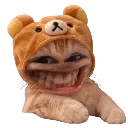 RG_hehe RG_hehe
