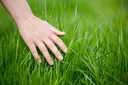 touch_some_grass
