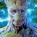iam