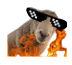 ceyhununkoyunu Discord emoji
