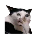 vaybasimagelenler Discord emoji