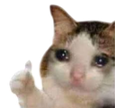 tamamdir Discord emoji