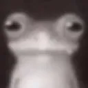 froggystare