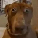 shocked