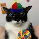 lolipopcat